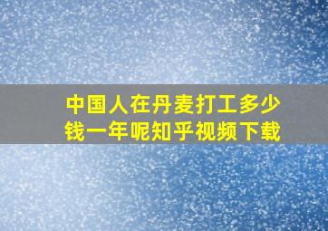 中国人在丹麦打工多少钱一年呢知乎视频下载