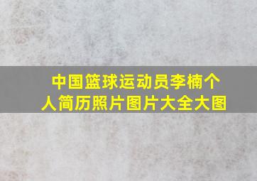 中国篮球运动员李楠个人简历照片图片大全大图