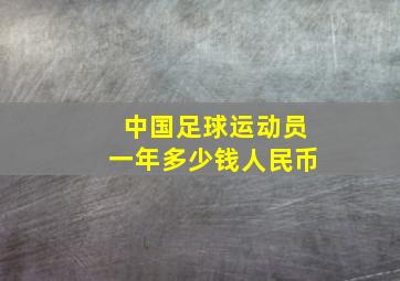 中国足球运动员一年多少钱人民币