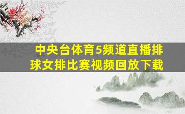 中央台体育5频道直播排球女排比赛视频回放下载