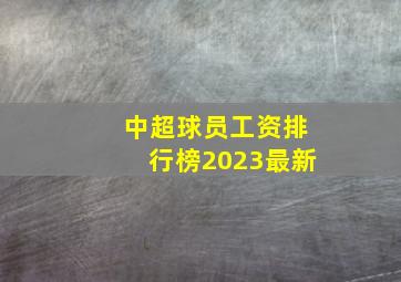 中超球员工资排行榜2023最新