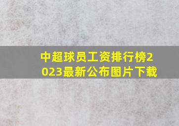 中超球员工资排行榜2023最新公布图片下载