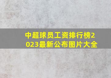 中超球员工资排行榜2023最新公布图片大全