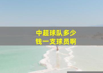 中超球队多少钱一支球员啊