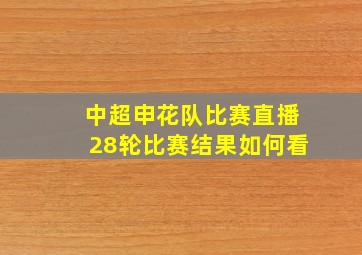 中超申花队比赛直播28轮比赛结果如何看