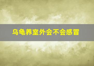 乌龟养室外会不会感冒