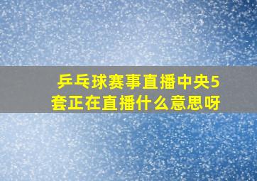 乒乓球赛事直播中央5套正在直播什么意思呀