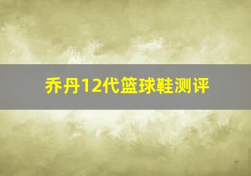 乔丹12代篮球鞋测评