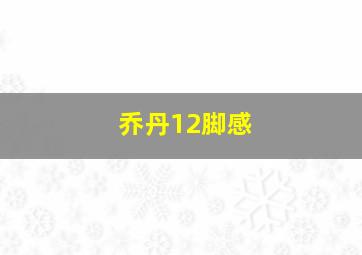 乔丹12脚感