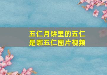 五仁月饼里的五仁是哪五仁图片视频