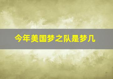 今年美国梦之队是梦几