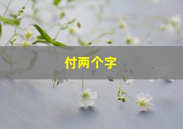 付两个字