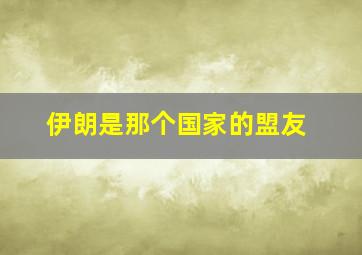 伊朗是那个国家的盟友