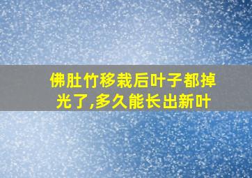 佛肚竹移栽后叶子都掉光了,多久能长出新叶