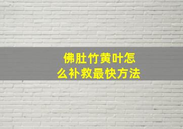 佛肚竹黄叶怎么补救最快方法