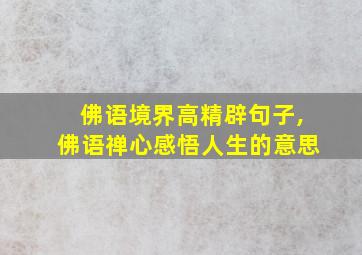 佛语境界高精辟句子,佛语禅心感悟人生的意思