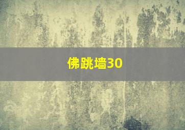 佛跳墙30