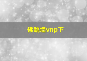 佛跳墙vnp下