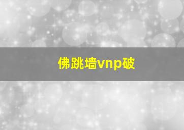 佛跳墙vnp破