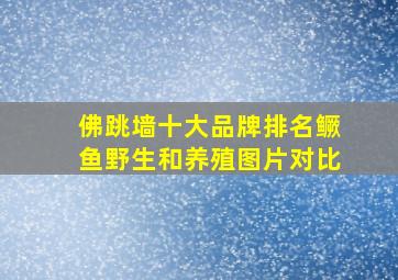 佛跳墙十大品牌排名鳜鱼野生和养殖图片对比