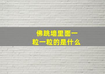 佛跳墙里面一粒一粒的是什么