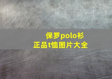 保罗polo衫正品t恤图片大全