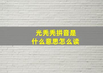 光秃秃拼音是什么意思怎么读