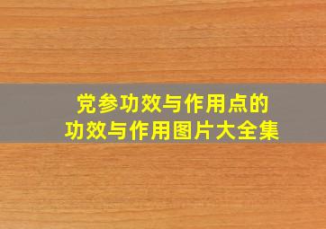 党参功效与作用点的功效与作用图片大全集