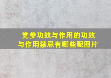 党参功效与作用的功效与作用禁忌有哪些呢图片