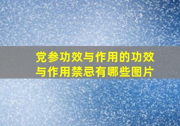 党参功效与作用的功效与作用禁忌有哪些图片