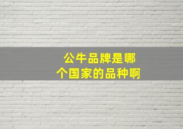 公牛品牌是哪个国家的品种啊