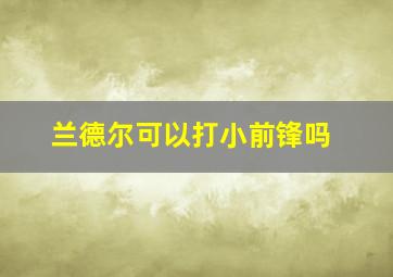 兰德尔可以打小前锋吗