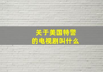 关于美国特警的电视剧叫什么