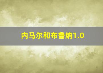 内马尔和布鲁纳1.0