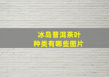 冰岛普洱茶叶种类有哪些图片