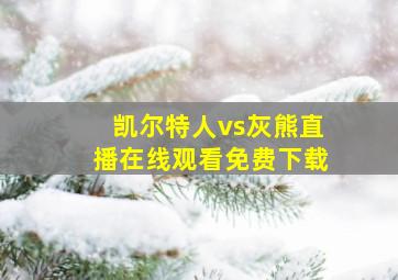 凯尔特人vs灰熊直播在线观看免费下载