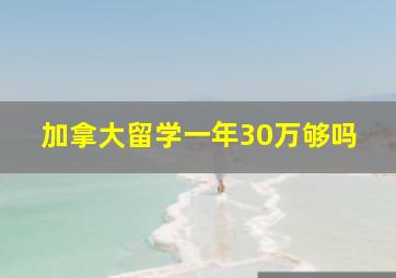 加拿大留学一年30万够吗