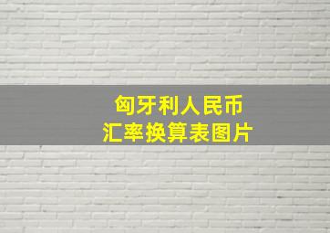 匈牙利人民币汇率换算表图片