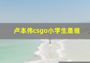 卢本伟csgo小学生是谁