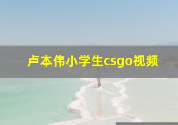 卢本伟小学生csgo视频