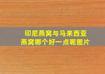 印尼燕窝与马来西亚燕窝哪个好一点呢图片