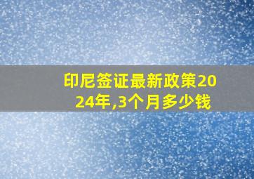 印尼签证最新政策2024年,3个月多少钱