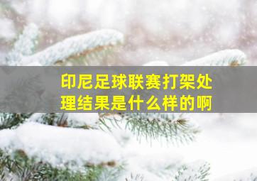 印尼足球联赛打架处理结果是什么样的啊