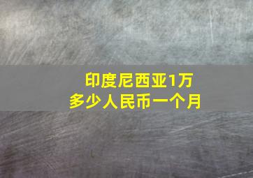 印度尼西亚1万多少人民币一个月