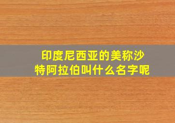 印度尼西亚的美称沙特阿拉伯叫什么名字呢