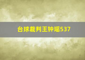 台球裁判王钟瑶537