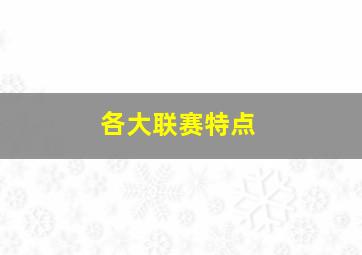 各大联赛特点