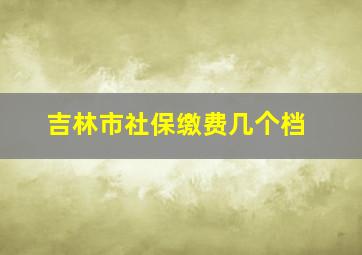 吉林市社保缴费几个档