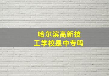 哈尔滨高新技工学校是中专吗