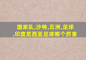 国家队,沙特,五洲,足球,印度尼西亚足球哪个厉害